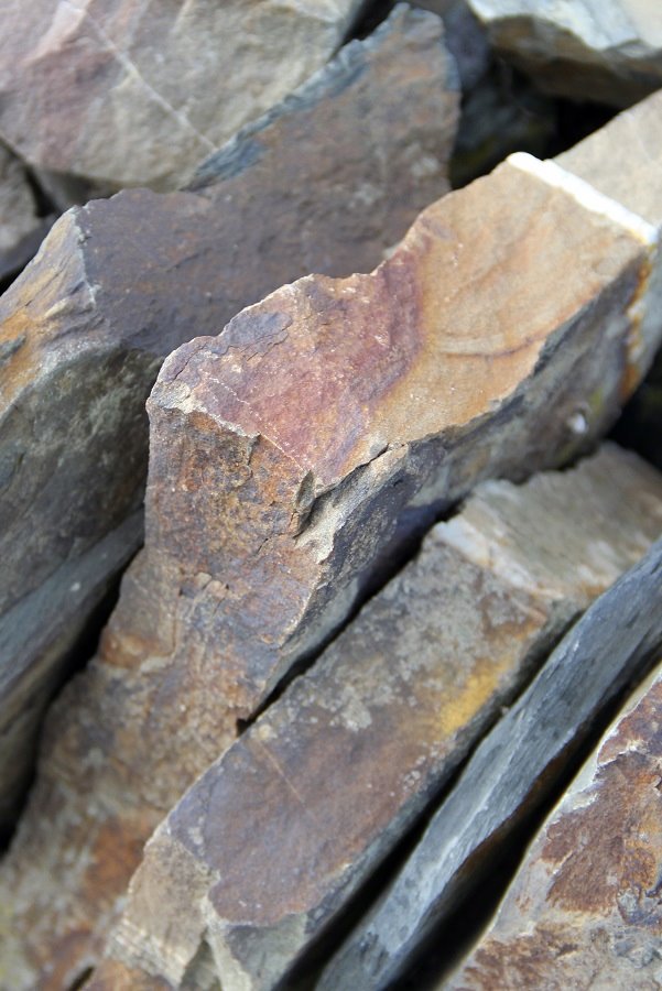 DER MINERALISCHE | 2025 Vom Grauen Schiefer | Riesling | trocken | Nr. 1135 – Bild 6